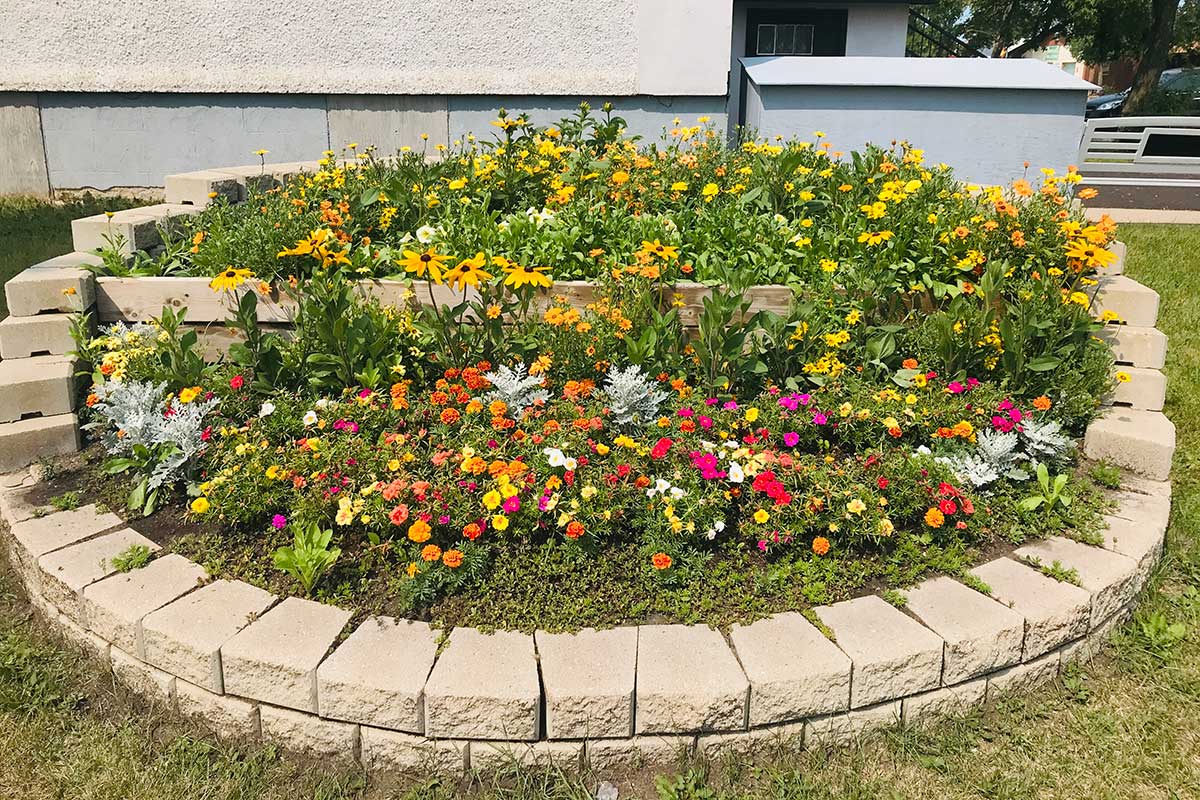 Floral display within a round interlocking brick bed.