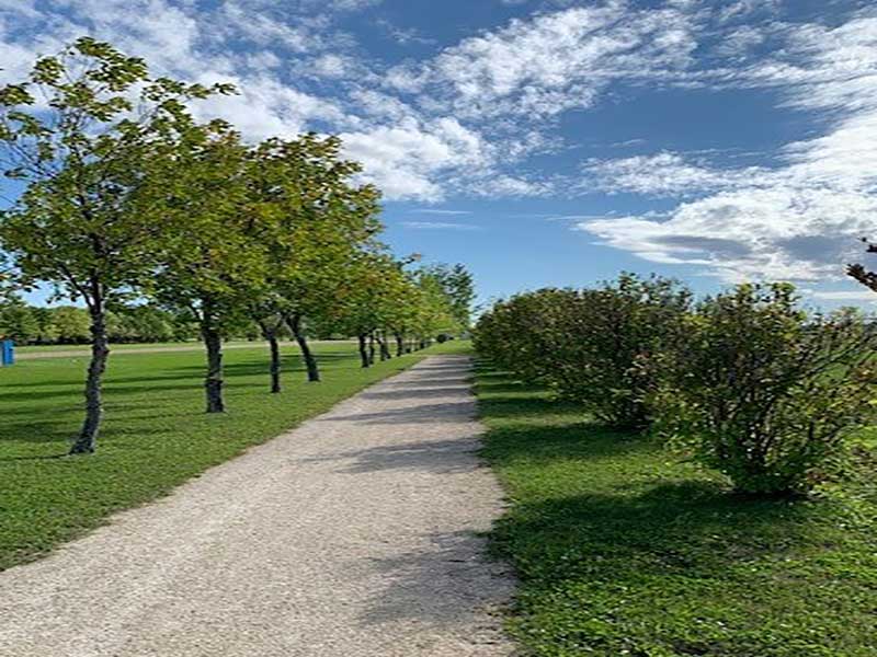 Pathway and Trees in Morris, MB