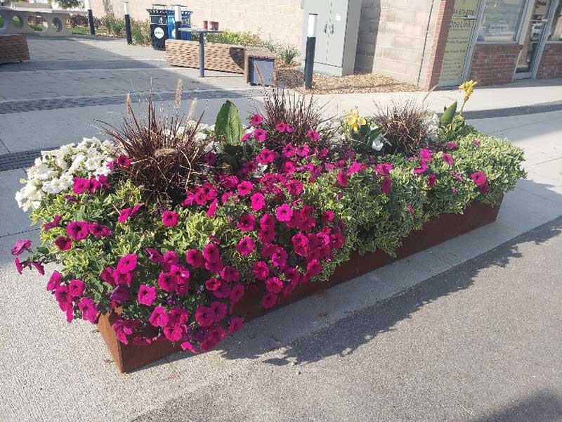 Selkirk - Floral Displays - CIB MB Photo Essay Content 2021