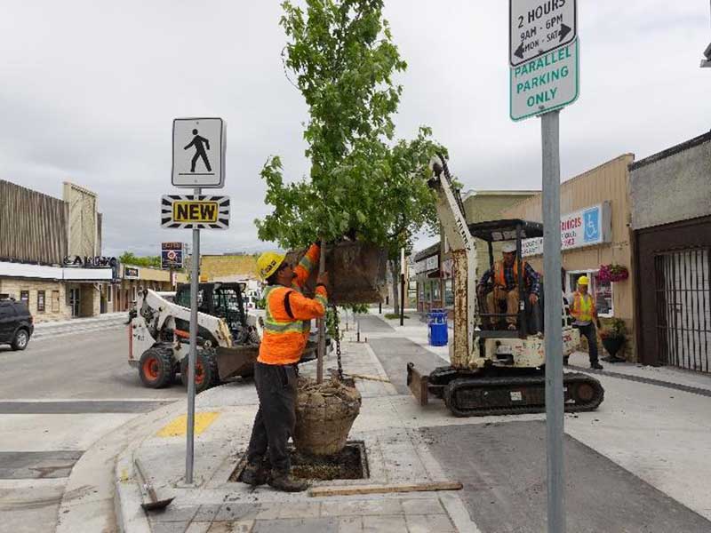 Selkirk - Urban Forestry - CIB MB Photo Essay Content 2021