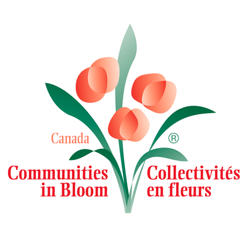CIB logo communities in bloom